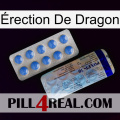 Érection De Dragon 39